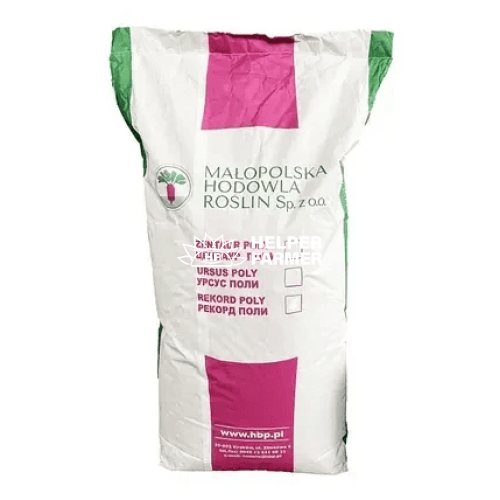 Свекла кормовая Урсус Поли Польша на вес, 1 кг