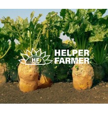 Свекла кормовая Урсус Поли Польша на вес, 1 кг