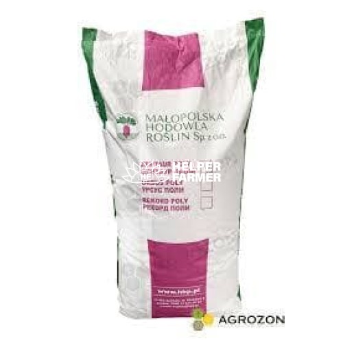 Свекла кормовая центаур Поли Польша на вес, 1 кг