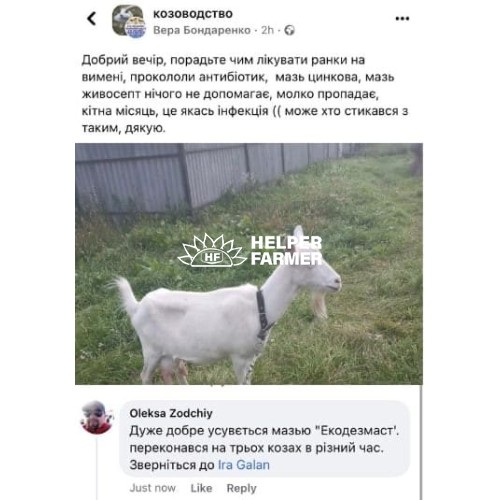Гель протимаститний “Екодезмаст” Гель протимаститний “Екодезмаст”