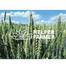 Пшениця Скаген перша репродукція (з сертифікатом), 1 кг