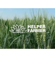 Пшеница Тобак озимая - первая репродукция (с сертификатом), 1 кг