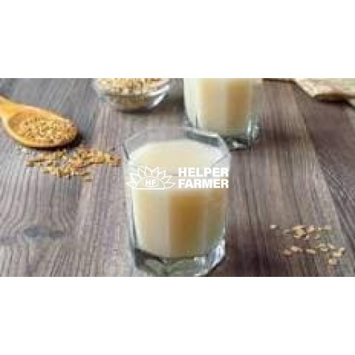 Овёс - семена, оздоровление, лечение, отвары, проращивание, микрогрин, 1 кг