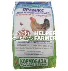 Премікс для курей несучок Ох КОРМОБАЗА - ні дня без яйця, 1 кг