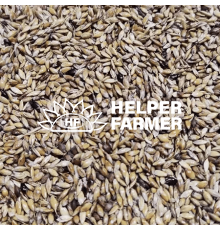 Насіння Суданки суданської трави на вагу на посів, 1 кг