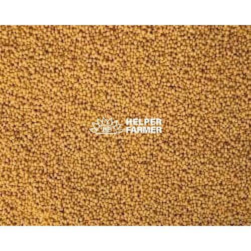 Семена горчицы белой, 1 кг