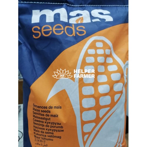 Кукуруза МАС 37В семена MAS 37V, 11 кг