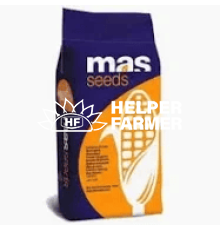 Кукуруза МАС 37В семена MAS 37V, 11 кг