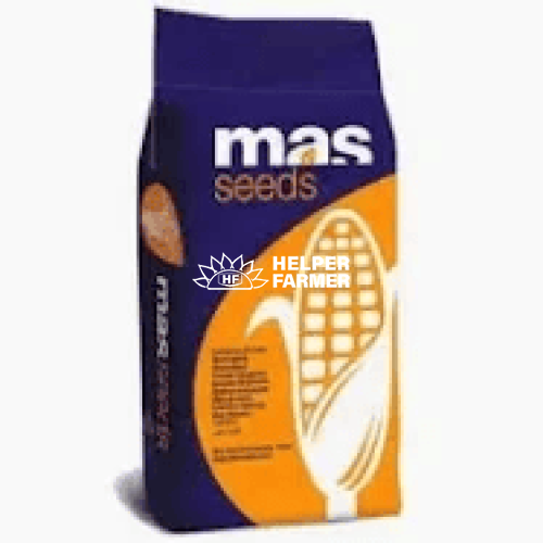 Кукуруза МАС 37В семена MAS 37V, 11 кг