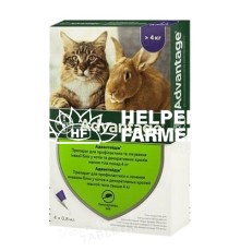 Адвантейдж 80 Bayer краплі від заражень блохами для котів більше 4 кг, 4 піпетки