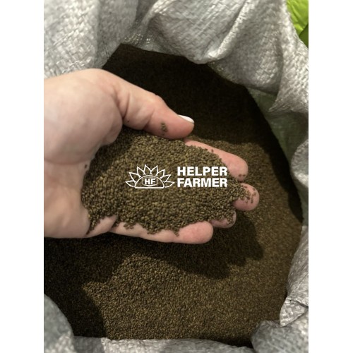 Насіння Люцерни омагнічне