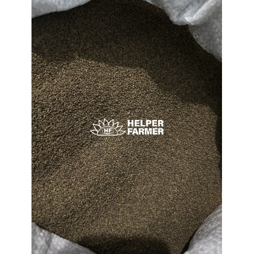 Насіння Люцерни омагнічне