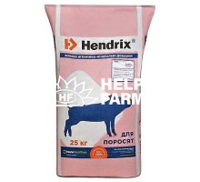 Хендрікс стартер КТ 10-30 Екстра трау, Hendrix БМВД старт для поросят 25% 7013_22 Trouw Nutrition, 25 кг