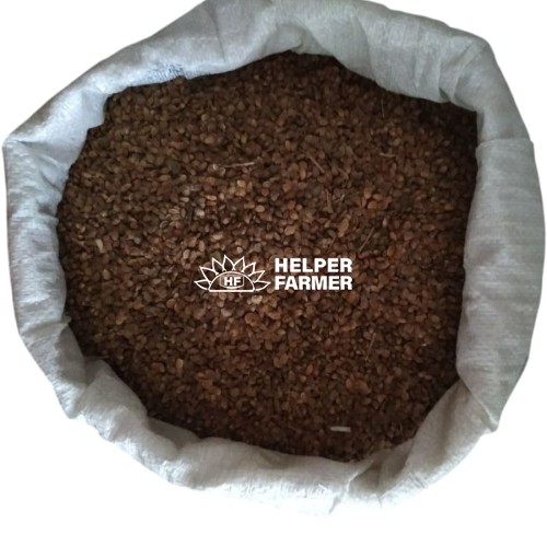 Насіння Еспарцету, багаторічна кормова трава медонос, 1 кг