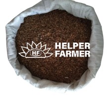 Насіння Еспарцету, багаторічна кормова трава медонос, 1 кг