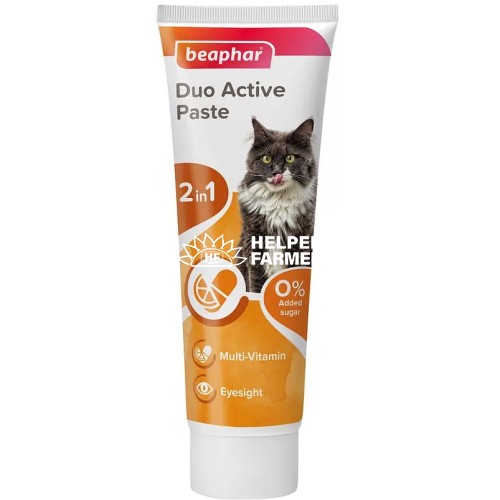 Мультивітамінна паста Beaphar Duo Active Pasta for Cats для здоров'я кішок, 100 г