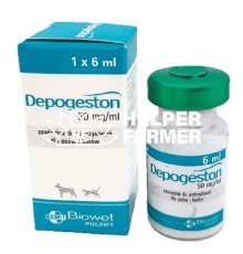 Депогестон (ДЛЯ ТВАРИН) розчин для ін'єкцій, 6 мл