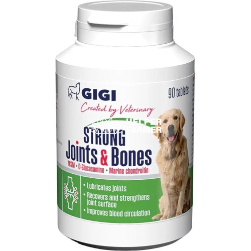 Вітамінно-мінеральна добавка Gigi Strong Joints & Bones для зміцнення та відновлення суглобів у собак 90 таблеток
