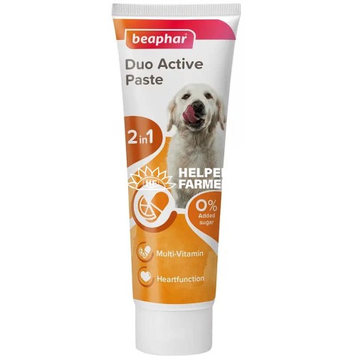 Мультивитаминная паста Beaphar Duo Active Paste для здоровья кишечника собак с L-карнитином, 100 г