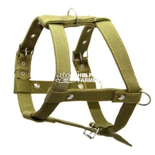 Шлей Эконом одинарный 45 мм 67-90 см 453901