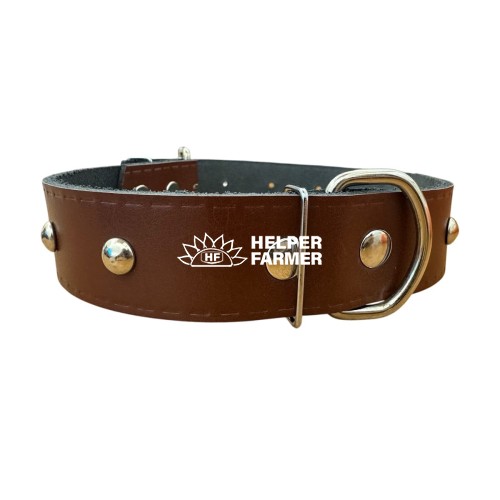 Ошейник ВД 513 кожа 35 мм с украшением 45-59 см