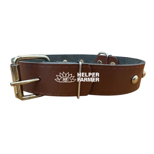 Ошейник ВД 513 кожа 35 мм с украшением 45-59 см