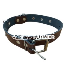 Ошейник ВД 513 кожа 35 мм с украшением 45-59 см
