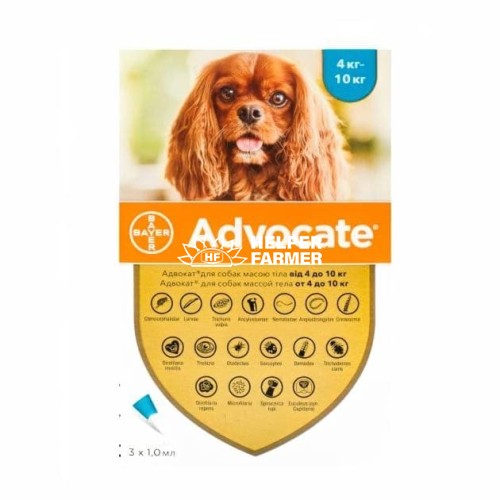Адвокат Elanco (Bayer) краплі від заражень ендо- та екто паразитами для собак 4-10 кг, 3 піпетки по 1,0 мл
