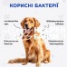 Комбіфлор Пробіотик ModeS порошок для підтримки балансу мікрофлори кишечника собак та котів по 2 г 1 пакетик