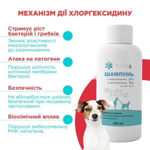 Шампунь ModeS антибактеріальний з хлоргексидином 3% і кетоконазолом 1% для собак і котів, 250 мл