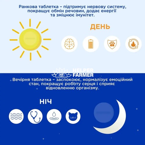 БіоРитм ModeS BioRitm Полівітамінний комплекс для собак середніх порід (10-30 кг), 30 таблеток