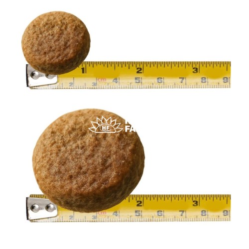 Сухой корм Stardeyl Cats Fish (рыба) для стерилизованных кошек, 10 кг