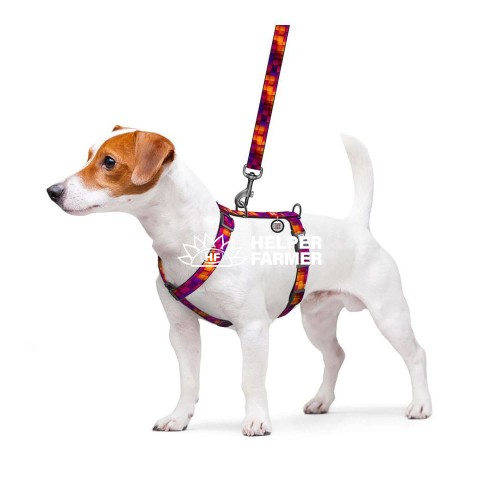 Шлея для собак анатомічна H-подібна WAUDOG Nylon з QR-кодом, малюнок "Куби 3Д"