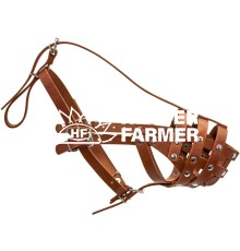 Намордник твердий Collar (доберман, вівчарка мала, далматин, сеттер малий) коричневий 05976