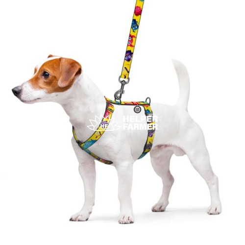 Шлей для собак анатомический H-образный WAUDOG Nylon с QR-кодом "Мохнатые монстры"