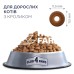 Сухий корм для котів Club 4 Paws Premium з кроликом, 14 кг