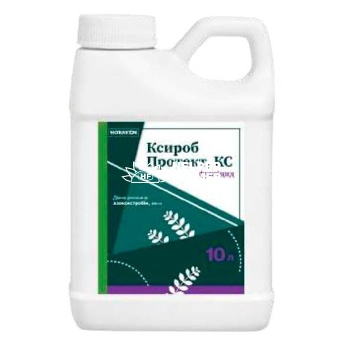 Фунгіцид Ксироб Протект КС (азоксистробін, 250 г/л), 10 л