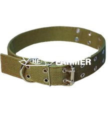 Ошейник Franty 459042 Эконом брезент двойной 45 мм, длина 34-69 см
