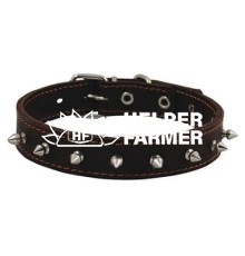 Нашийник Franty 251013/1 шипи шкіра 25 мм, довжина 32-42 см чорний