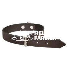 Нашийник ВД 110 шкіра 14 мм 26-34 см двоскладовий