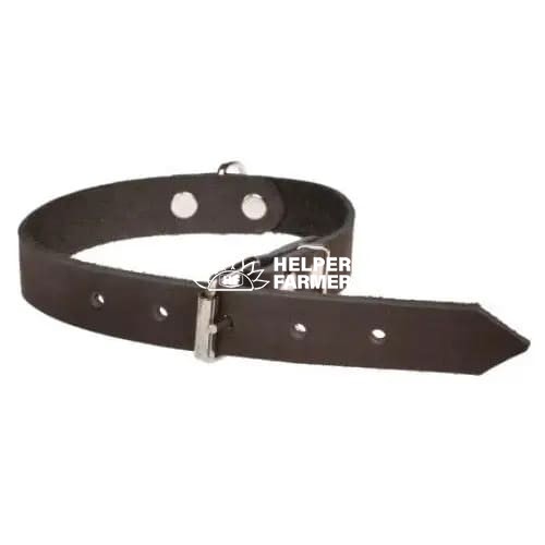 Нашийник ВД 110 шкіра 14 мм 26-34 см двоскладовий
