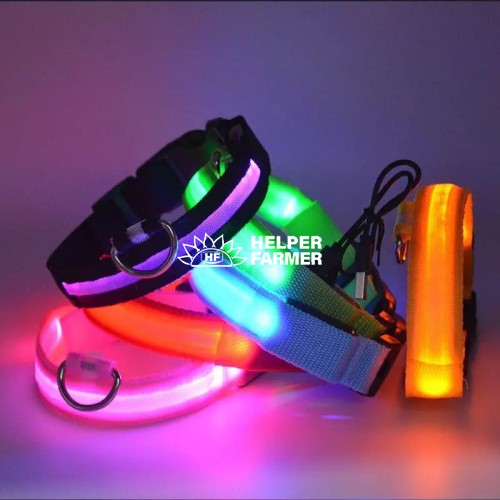 Ошейник для собак, светящийся, на аккумуляторе с USB-зарядкой голубой XL 52-60 см