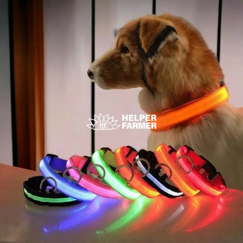 Ошейник для собак, светящийся, на аккумуляторе с USB-зарядкой голубой XL 52-60 см