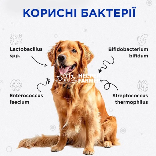 Комбіфлор Пробіотик ModeS порошок для підтримки балансу мікрофлори кишечника собак та котів по 2 г 15 саше