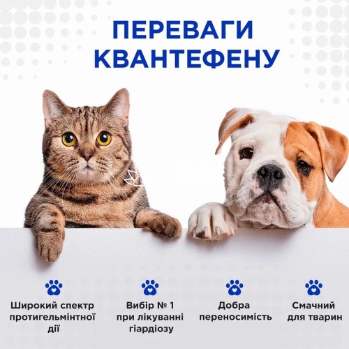 Квантефен ModeS антигельмінтні таблетки для котів і собак малих порід, 1 таблетка