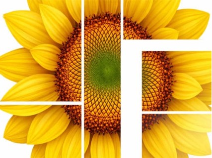 Helper Farmer - складова Вашого урожаю