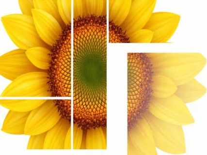 Helper Farmer - складова Вашого урожаю