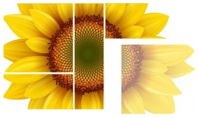 Helper Farmer - складова Вашого урожаю