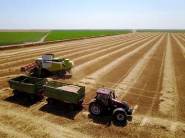Helper Farmer