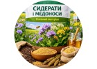 Сидераты и медоносы